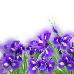 Similar image 20298635