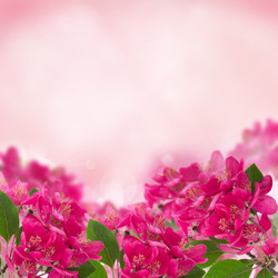 Similar image 20298648