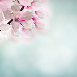 Similar image 20298649