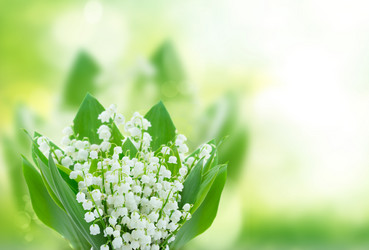 Similar image 20298690