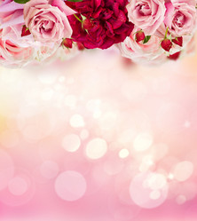 Similar image 20298712