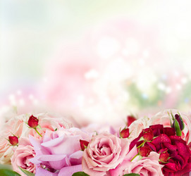 Similar image 20298753