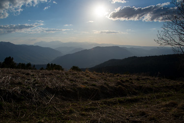 Similar image 20227001