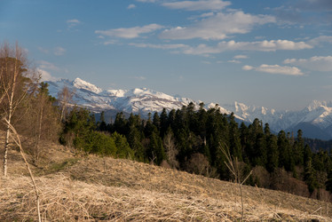 Similar image 20227015