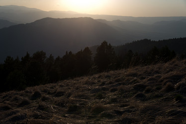 Similar image 20227018