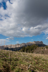 Similar image 20227003