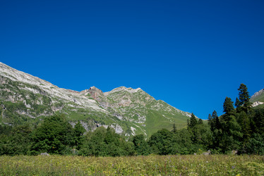 Similar image 20227021