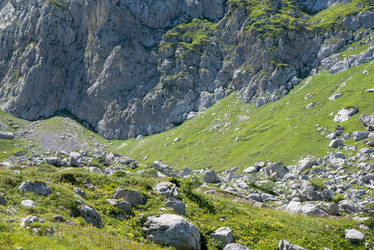 Similar image 20227004