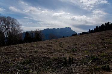 Similar image 20227007