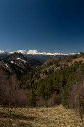 Similar image 20227032