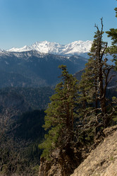 Similar image 20227027