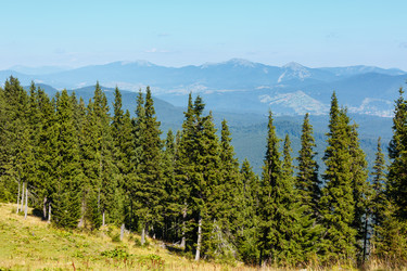 Similar image 20232183