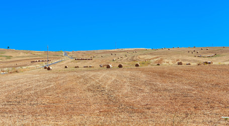 Similar image 20232201