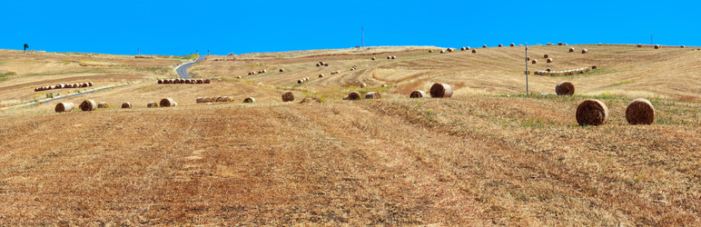 Similar image 20232217