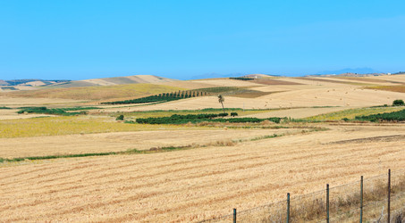 Similar image 20232260