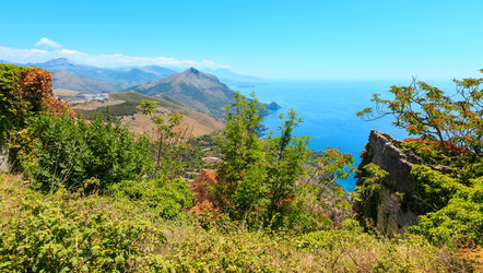 Similar image 20232302