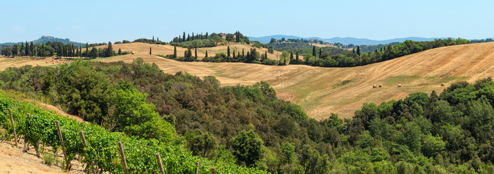 Similar image 20232332