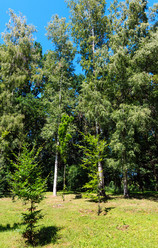 Similar image 20232335