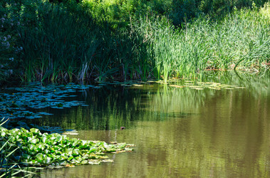 Similar image 20232245