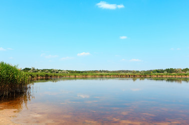 Similar image 20232269