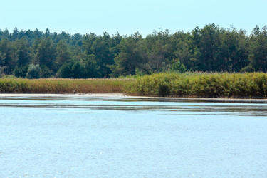 Similar image 20232271