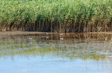 Similar image 20232272