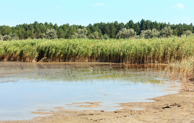 Similar image 20232273