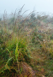 Similar image 20232282