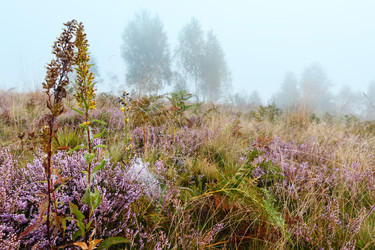 Similar image 20232283