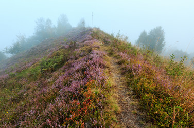 Similar image 20232284