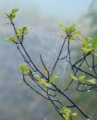 Similar image 20232286