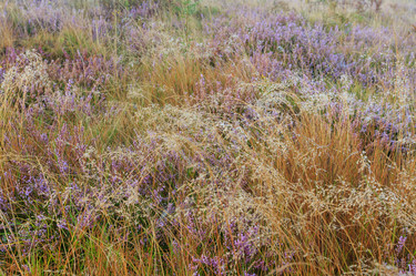 Similar image 20232288