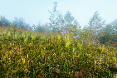 Similar image 20232290