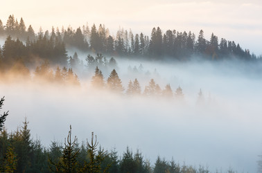 Similar image 20232319