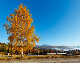 Similar image 20232320