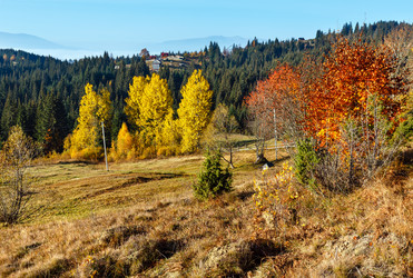 Similar image 20232328