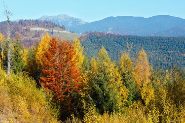 Similar image 20232348