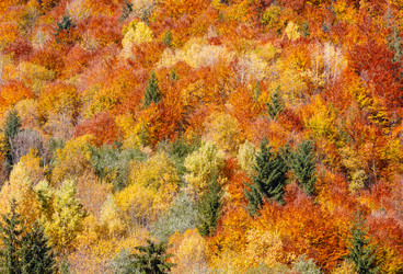 Similar image 20232352