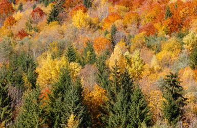 Similar image 20232356