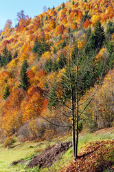 Similar image 20232365