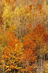 Similar image 20232367