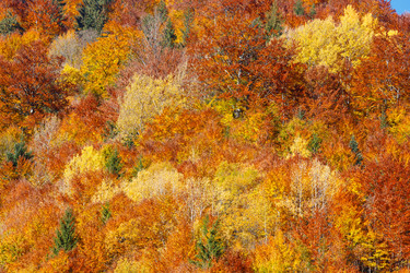 Similar image 20232368