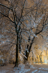 Similar image 20232460