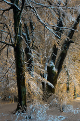 Similar image 20232461