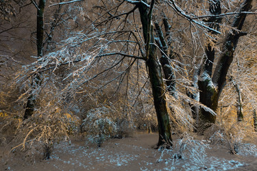 Similar image 20232210