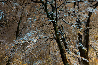 Similar image 20232211