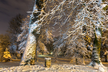 Similar image 20232212