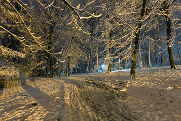 Similar image 20232213