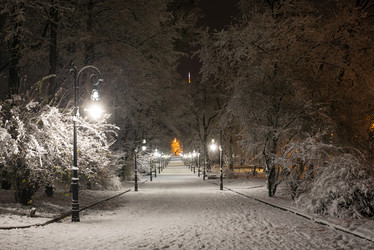 Similar image 20232234