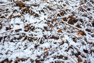 Similar image 20266610